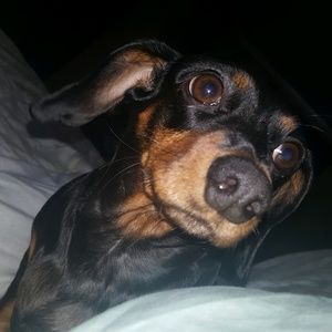 Meet your Posher, Matthew